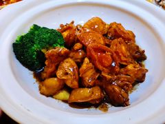黑松露鲍鱼焖清远鸡-朝鲜玉流馆(滨河东路店)
