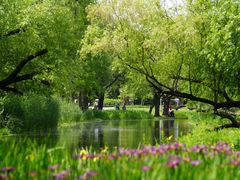 -上海共青森林公园