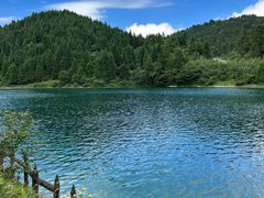 -武陵山森林公园