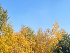 -长春公园(普阳街道)