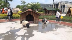 -造物庄园 萌宠纪(苏州湾歌林公园店)