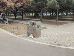 -石家庄市植物园