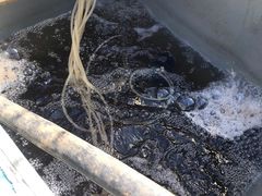 -姥家大锅台水库渔家