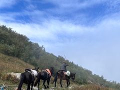 -灵山