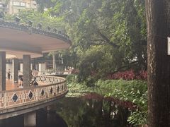 -荔湾湖公园