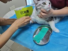 -瑞鹏宠物医院腔镜微创中心·骨科·牙科(新江湾城政芳路店)