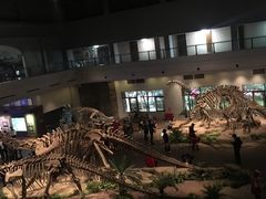 -自贡恐龙博物馆