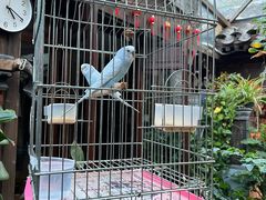 -束河人家(南锣鼓巷店)