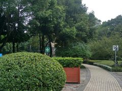 -神仙树公园