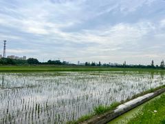 -嘉北郊野公园