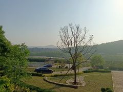 -北马山庄植趣咖啡