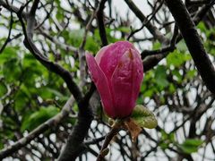 -松山湖风景区松湖烟雨