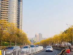 -洲头咀公园