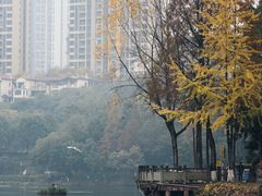 -重庆彩云湖湿地公园