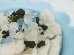 龙眼冰-糖潮糖水铺(省府店)