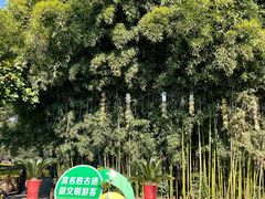 -东坡赤壁风景名胜区