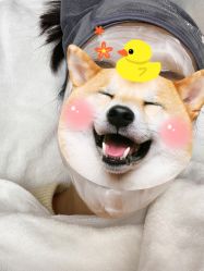 点击看大图 -JS医疗美容