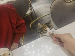 -后海16号·北京私房菜