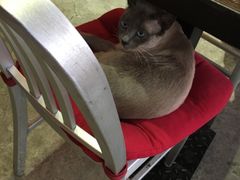 -MIKAKU(万达广场上海宝山店)