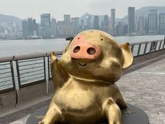 -星光大道