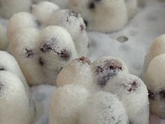 -老西门·常州菜(新区店)
