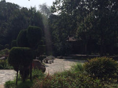iphone_upload_pic-淄博聊斋城景区