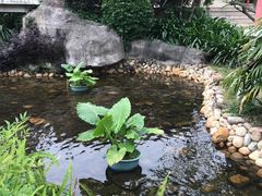 -江门古兜温泉小镇