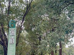 -福道