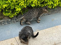 -万达广场(南宁青秀店)