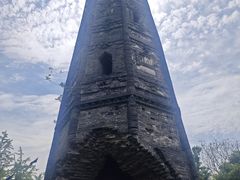 -上海佘山国家森林公园天马山园