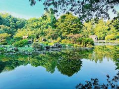 -杭州植物园