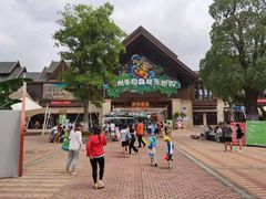 -苏州乐园森林水世界