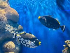 -福州罗源湾海洋世界旅游区