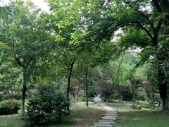 景点-峙山公园