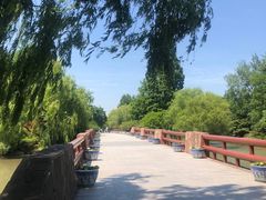 -上海滨江森林公园