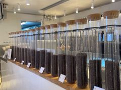 -喜茶(佛山岭南站店)