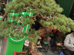 -重庆市江北嘴中央商务区中央公园