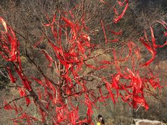 -叠溪松坪沟景区