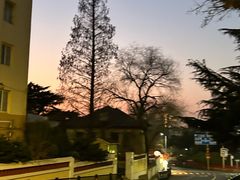 -青岛德国总督楼旧址博物馆