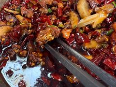 -食神又名厕所兔