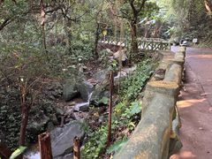 -梧桐山风景名胜区