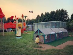 -廊坊固安福朋喜来登酒店