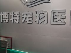 -博特宠物医院24h犬猫全科.骨科·异宠