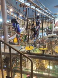 -卡通尼·Safari非洲探索乐园·生日会(金桥国际商业广场店)