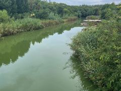 -上海长兴岛郊野公园