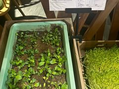 -番食园鲜食火锅(高新店)