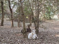 -扬州市茱萸湾风景区