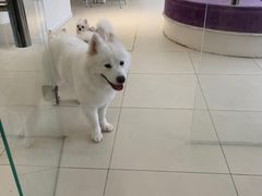 -怪兽屋·羊驼·猫咖·狗咖(俊华广场店)