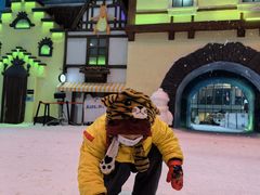 -世界之窗阿尔卑斯冰雪世界