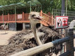 -鄂尔多斯野生动物园